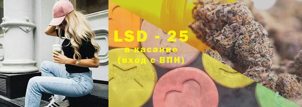 ГАЛЛЮЦИНОГЕННЫЕ ГРИБЫ Балахна