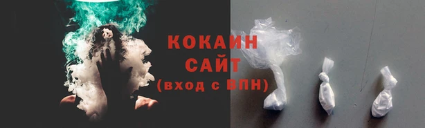 ГАЛЛЮЦИНОГЕННЫЕ ГРИБЫ Балахна